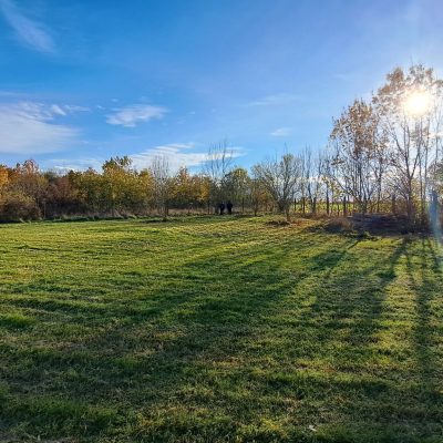 Pipacs Vendégház kertje